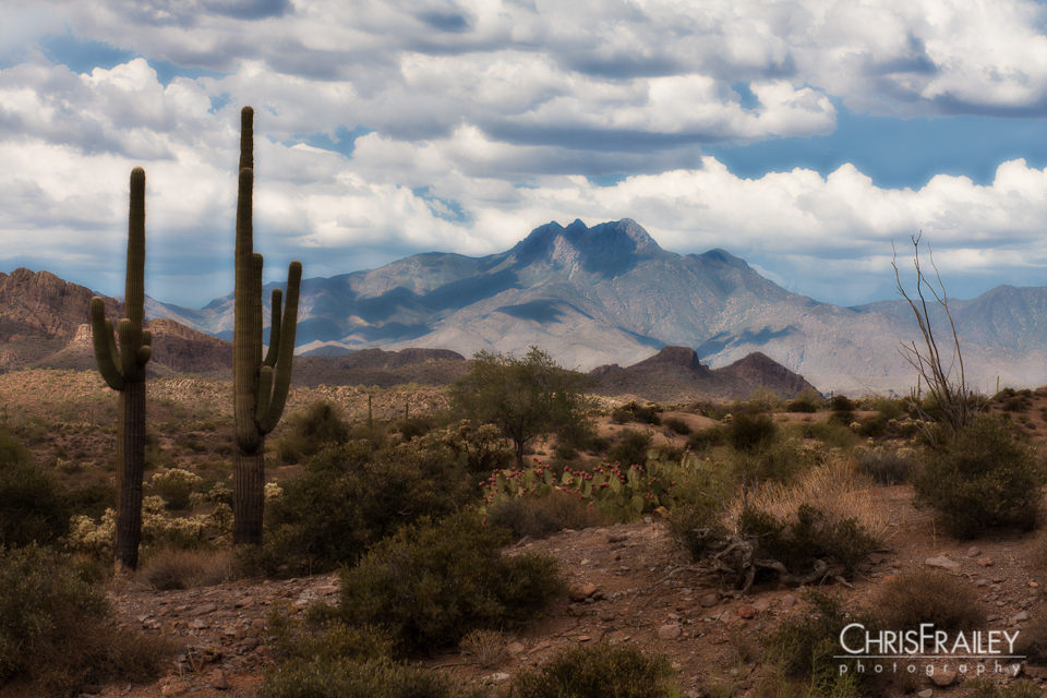 A Southwest Day blog (1 of 1) A cloud filled day in the AZ desert.