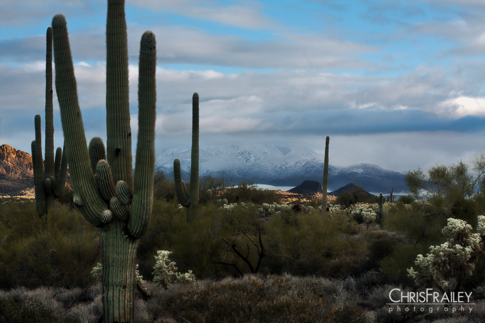 Desert Wonderland The AZ desert with snow capped 4 Peaks Mountains